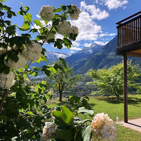 Der Blaue Reiter Apart otel Schenna Dış mekan fotoğraf